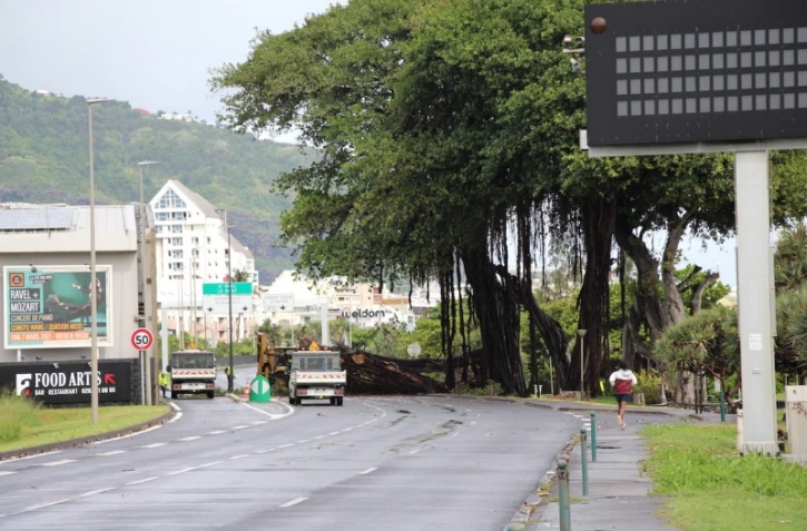 chute arbre au butor saint denis tempête iman