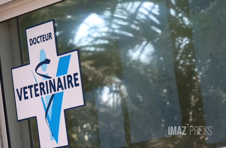vétérinaire 