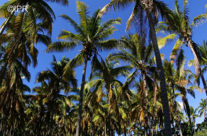 paysages 