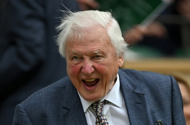 Le naturaliste britannique David Attenborough au tournoi de tennis de Wimbledon, le 1er juillet 2024