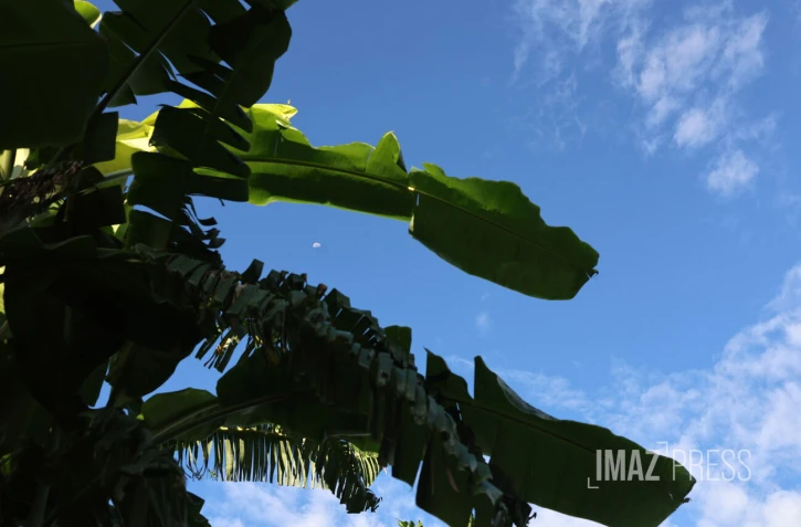 météo réunion 