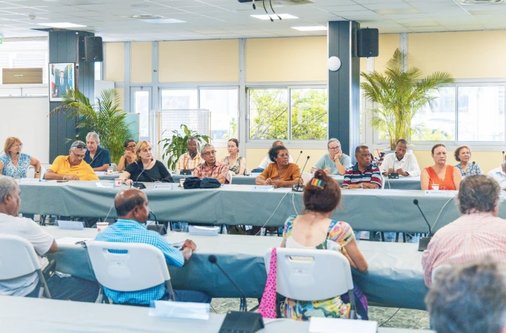 Conseil des Sages dionysiens