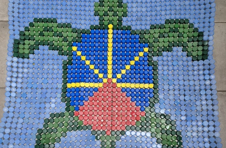 4.000 élèves réunionnais s’engagent pour sauver les tortues marines