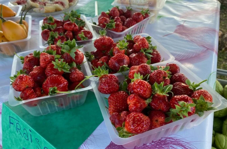 fraises péi vendu dans le quartier de Mont Roquefeuil