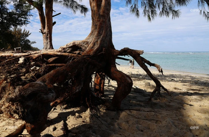 plage de l'hermitage 