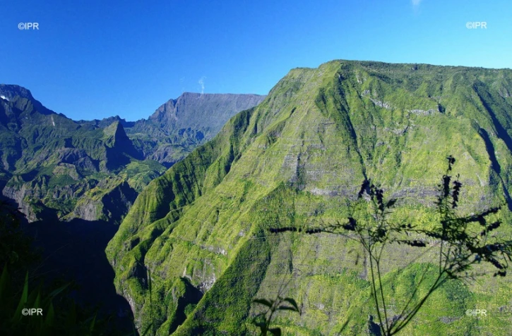 paysages 