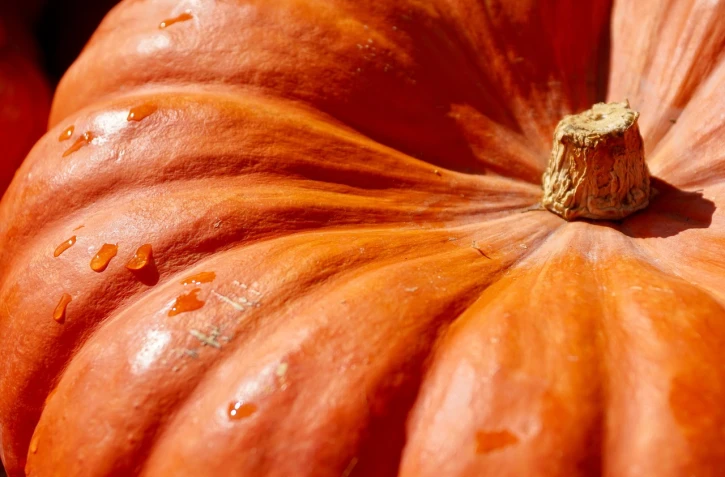 citrouille