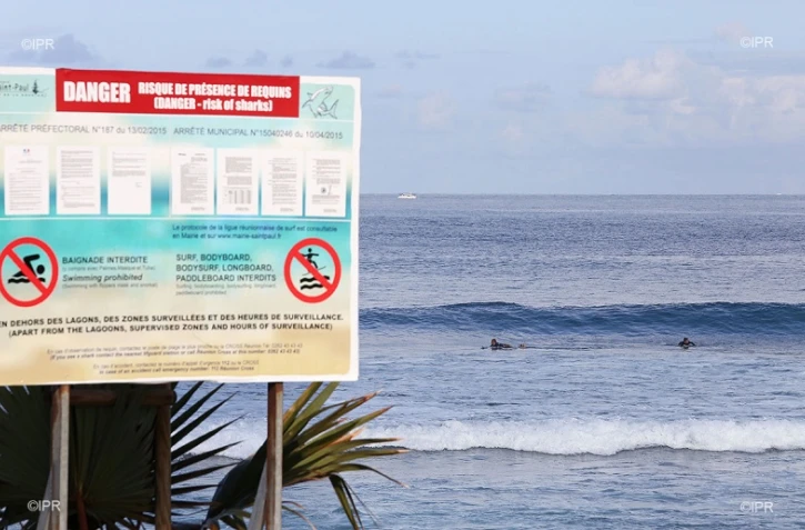 panneaux requins plage  Roches noires 