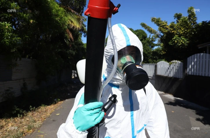 Dengue 