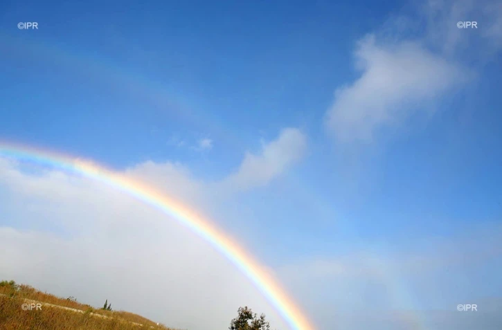 météo réunion 