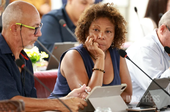 conseil communautaire de la cinor