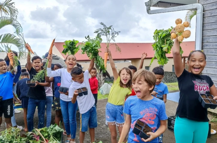 Découverte de l'agriculture