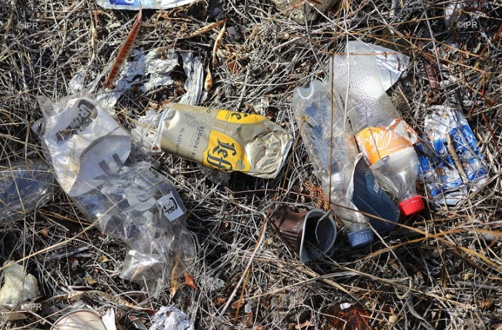 pollution plastique 
