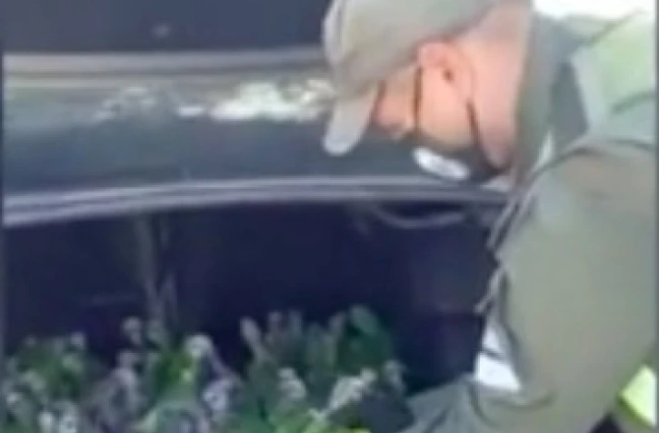 Argentine : une centaine de perroquets retrouvé dans un coffre de 