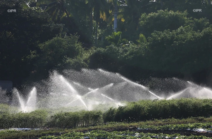 Irrigation 