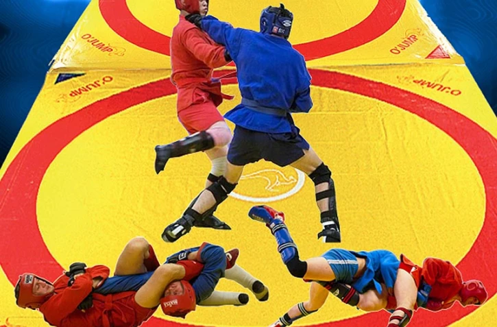 Sambo combat