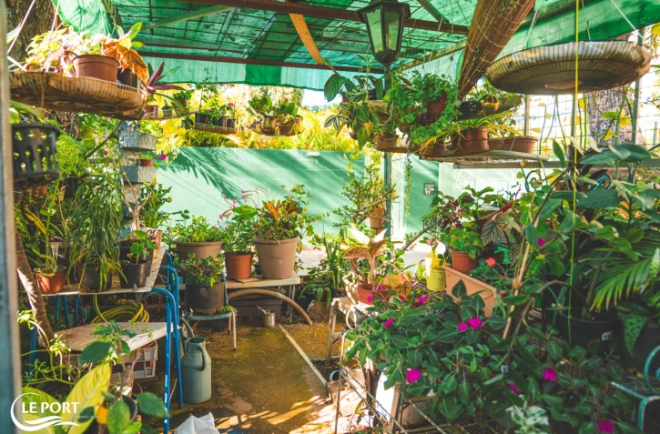 Le Port : Yolaine Lin décroche le 1er prix du concours Jardins et Balcons Fleuris 202