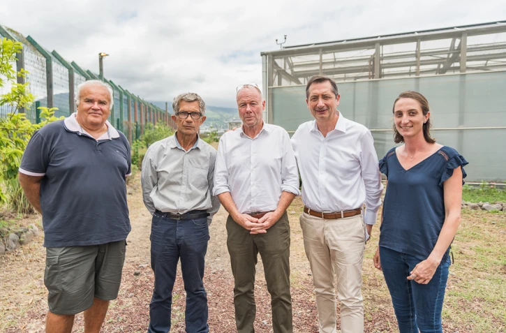 Agrivoltaïsme à La Réunion : 15 années où l'électrique et l'agricole travaillent ensemble 