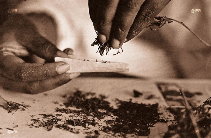 Un médicament contre l'addiction au zamal