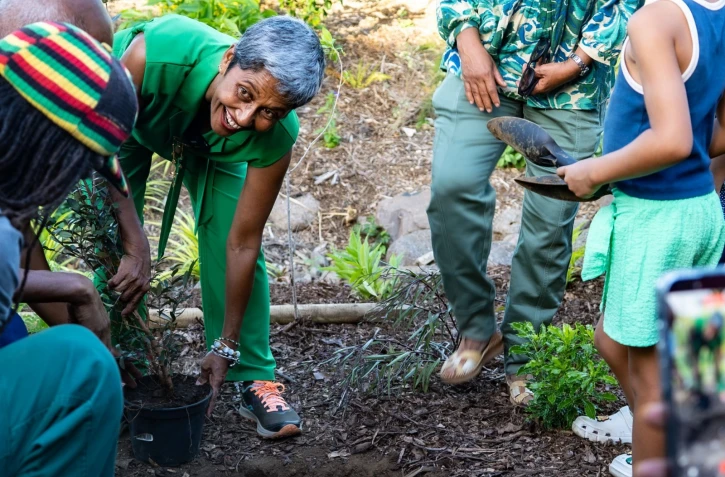 Cinor : inauguration de l'îlot Flamboyant au Chaudron