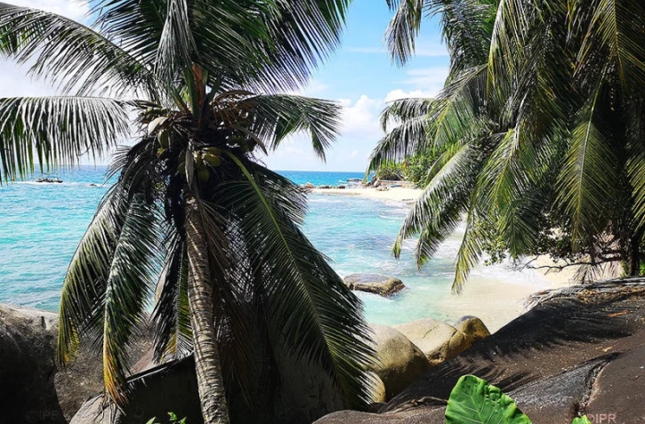 Culture créole aux Seychelles