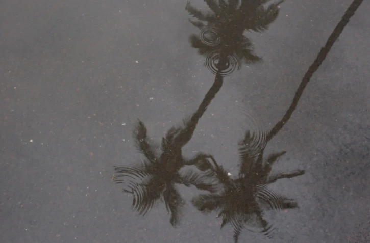 Fortes pluies
