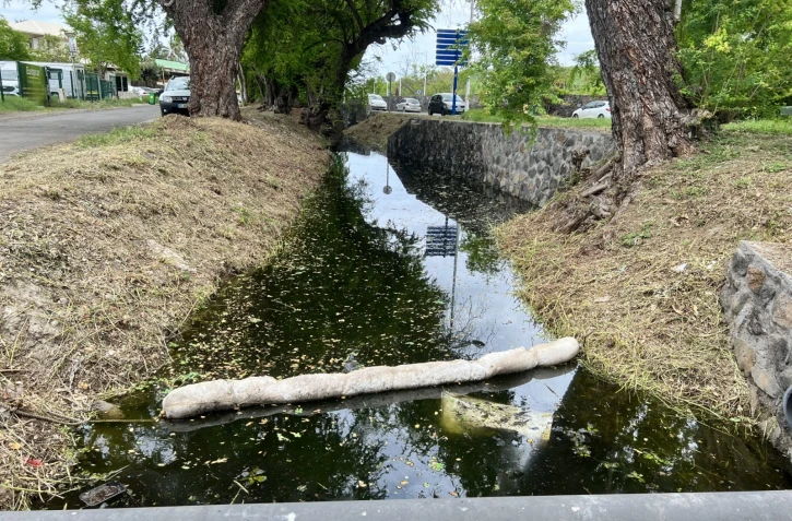 Pollution ravine Hermitage