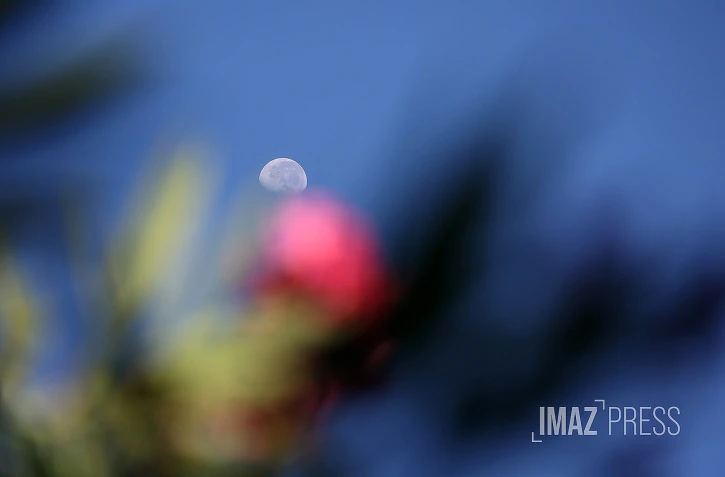 lune 