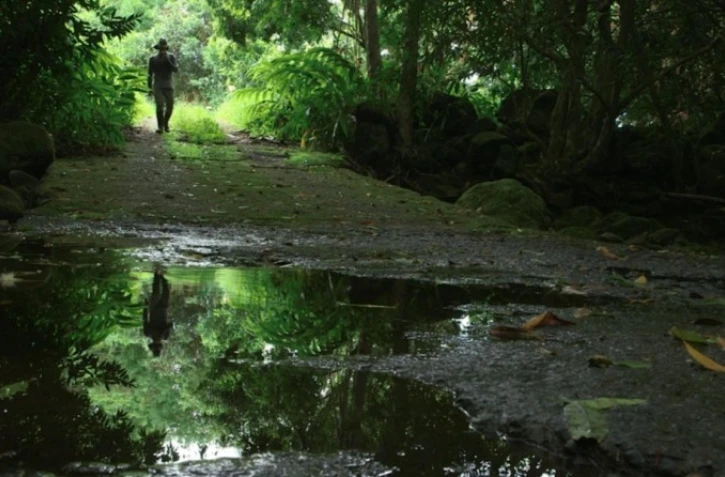 Culture, Films, Kwa Films