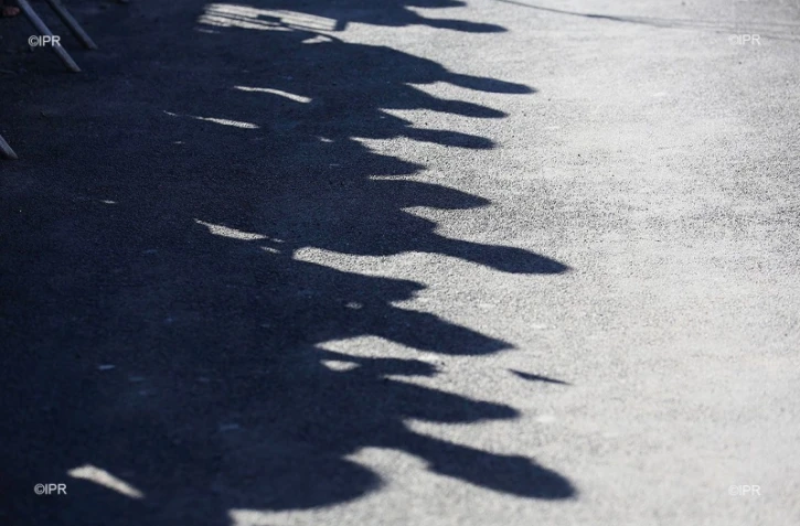 illustrations photos