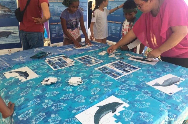 sensibilisation mamifères marins globice