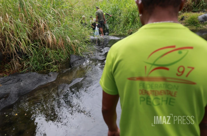 Sécheresse : le Sud Sauvage totalement à sec, poissons et crustacés en danger