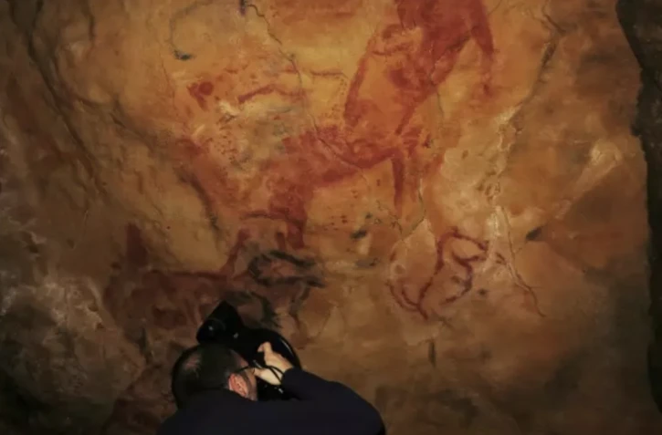 Paroi ornée dans la réplique de la grotte d'Altamira en Espagne, en 2016 ( Proyecto Handpas / HO )