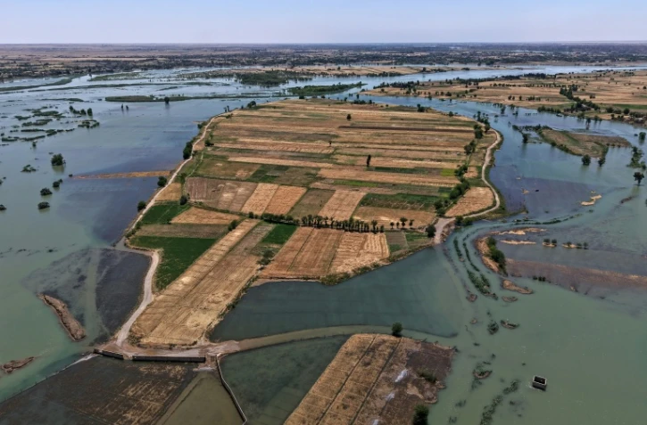 Une zone inondée dans la province syrienne de Deir Ezzor, le 31 mai 2026, suite aux récentes crues provoquées par la montée des eaux de l'Euphrate