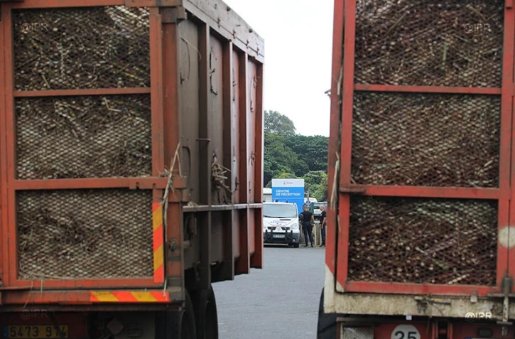 Sucrerie Bois-Rouge 7 décembre 2017