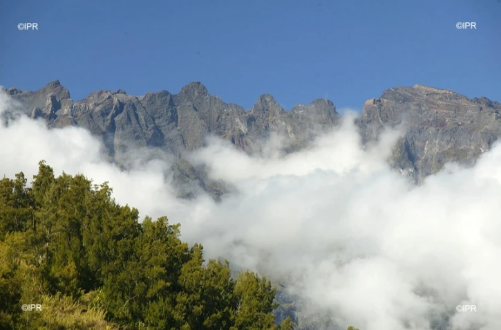 météo réunion 