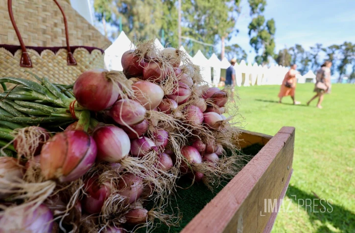 Saint-Paul valorise son patrimoine agricole à la Fête de l’Agri-Kultur 2025