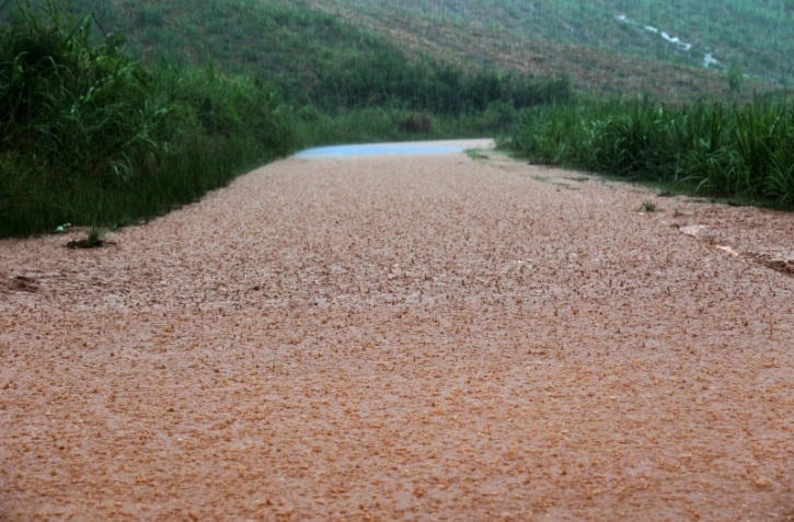 fortes pluies dans l'est