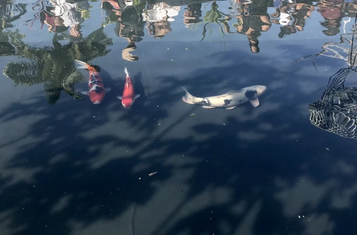 Flore et halle au Port 24ème édition