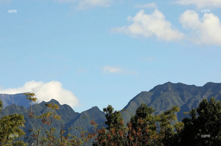 paysages 