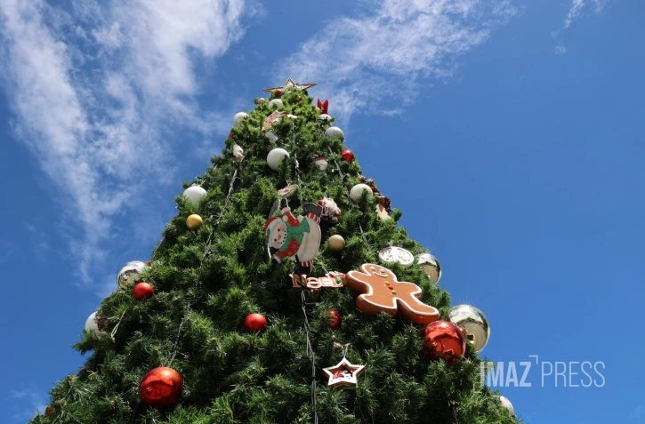 arbre de noël