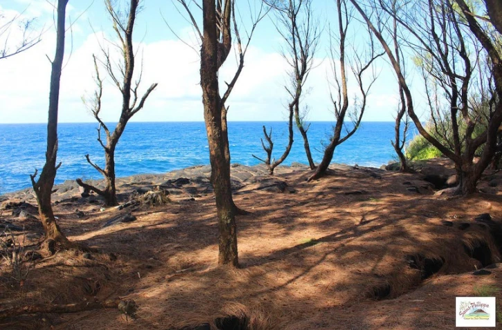 Saint-Philippe : fermeture du sentier littoral à cause d'une échelle vétuste