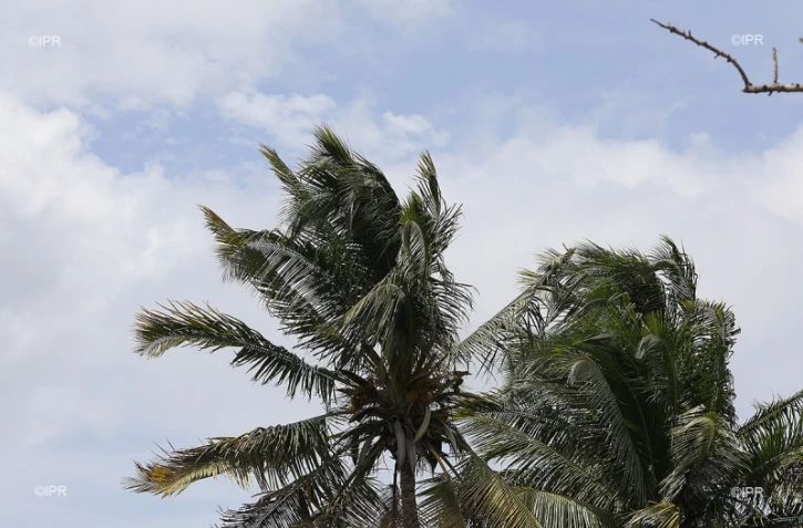 météo réunion 