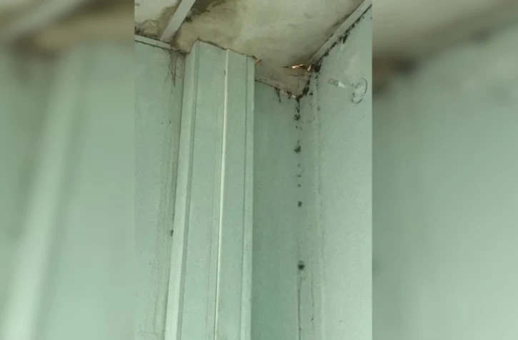 Lycée patu de rosement