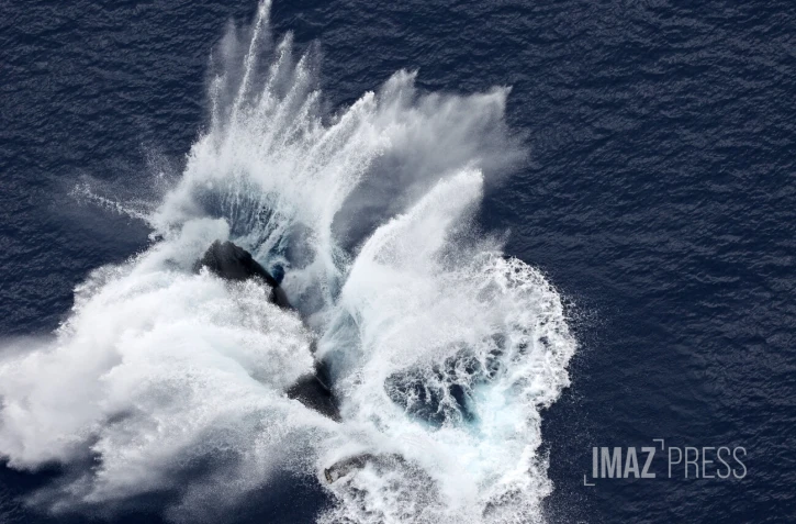 baleines septembre 2023