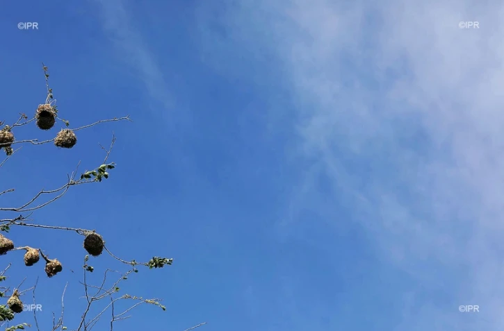 météo Réunion 