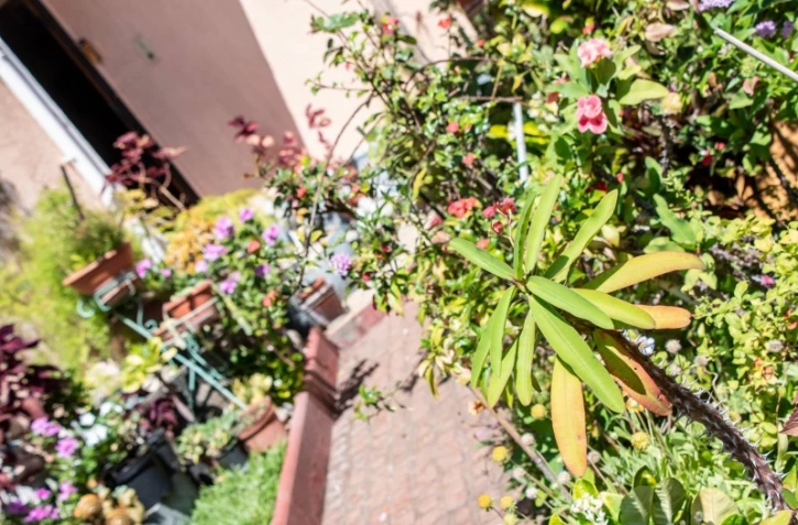 Concours jardins fleuris 2018