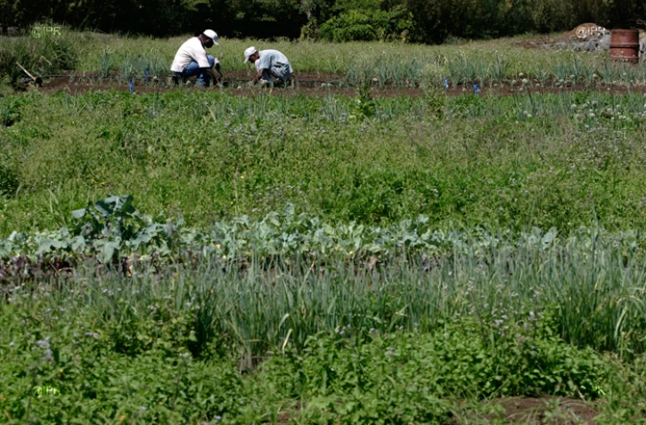 Agriculture