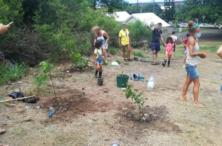 Casabona : près de 200 pie dbwa plantés ce dimanche 