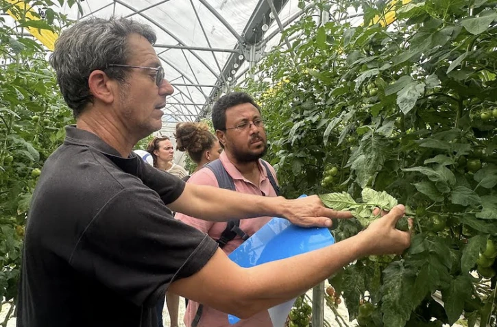 Protection des cultures : le projet SA’IRA présente ses premiers travaux aux professionnels agricoles